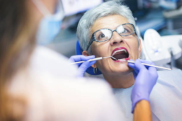 Professional Dental Services in Chama, NM